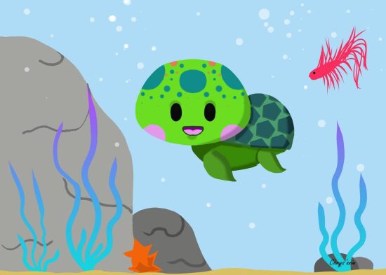 petite tortue
